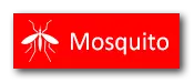 mosquito button pest problem