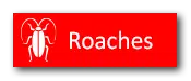 roach button pest problem