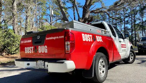 Bust-A-Bug Pest Control Services Truck